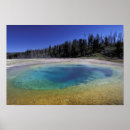 Search for featuring posters Scenic