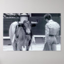 Search for bullfighting posters Spain