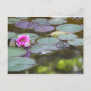 Search for mitted postcards Blüte