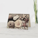 Search for sea star cards Florida