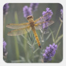 Search for purple dragonfly stickers Lavender