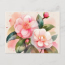 Search for camellia flower postcards Flowers
