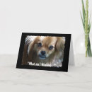 Search for funny dog birthday cards Puppy