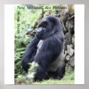 Search for volcanic posters Gorilla