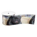 Search for dog ribbon Animal