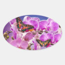 Search for pink oval stickers Tropical