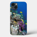 Search for coral reef ipad cases Fish