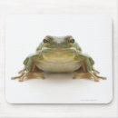 Search for tree frog mousepads Reptiles