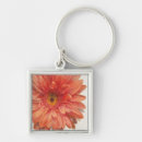 Search for orange gerbera accessories Daisies