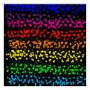 Search for equalizer art Colorful