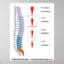 Search for spine art Orthopaedic