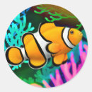 Search for clown fish stickers Coral reef