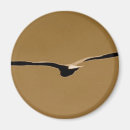 Search for funky magnets Birds