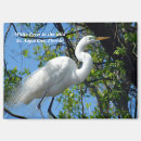 Search for great egret White