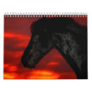 Search for horse calendars Pony