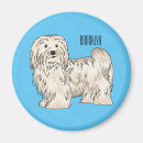 Search for companion magnets Pet