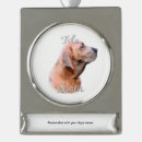 Search for brasileiro Fila brasileiro