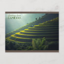Search for cambodia postcards Nature