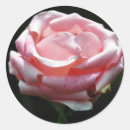 Search for close stickers Beautiful