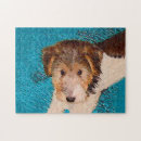 Search for fox terrier puzzles Wire