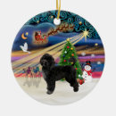 Search for portuguese water dog christmas tree decorations Dogs