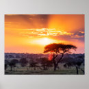 Search for serengeti posters Sunset