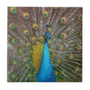 Search for blue peacock feather tiles Turquoise
