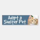 Search for tabby bumper stickers Pet