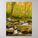 Search for appalachia posters Forest