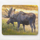 Search for velvet mousepads Male