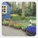 Search for scenic stickers Europe