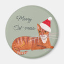 Search for stocking filler magnets Red