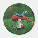Search for alice in wonderland magnets Through the looking glass