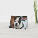Search for staffordshire bull terrier cards Staffie