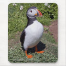 Search for bird puffins mousepads Auk