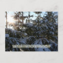Search for wintertime postcards Forest