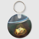 Search for pig humour key rings Funny
