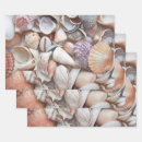 Search for sketch wrapping paper Coastal