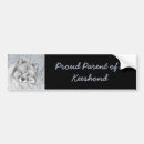 Search for art bumper stickers Black
