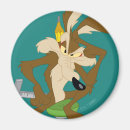 Search for wile e coyote magnets Road runner