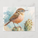 Search for desert bird postcards Wren