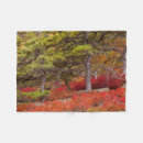 Search for national park blankets Pine tree