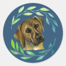Search for ridgeback stickers Pet