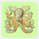Search for haeckel stickers Vintage