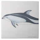 Search for dolphin tiles Whale