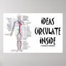 Search for circulatory system posters Circulation