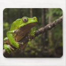 Search for frog mousepads Arboreal