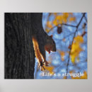 Search for cute and funny animal pictures posters Photos