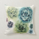 Search for succulent cushions Plants