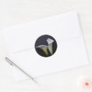 Search for calla lilies stickers Floral